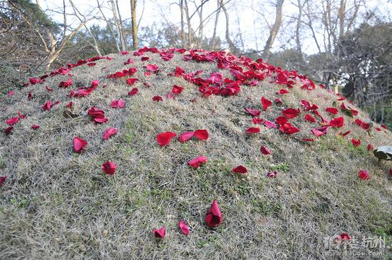 武松墓坟头情人节后被撒满玫瑰花瓣 网友评论
