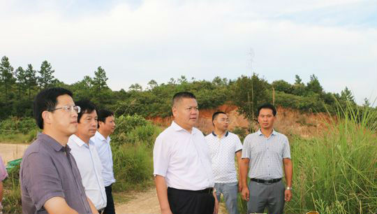 景德镇市领导调研河长制及水环境整治工作