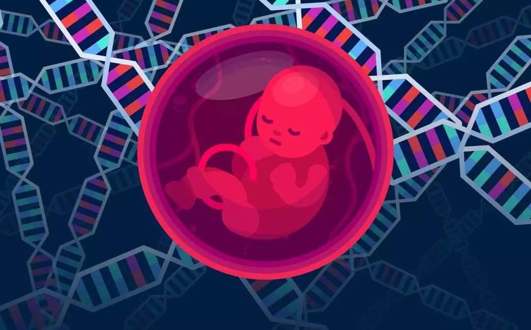 RFG皇家生殖遗传医院:试管婴儿如何应对反复
