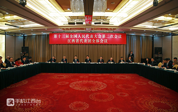 江西代表团全体会议举行中外记者开放日