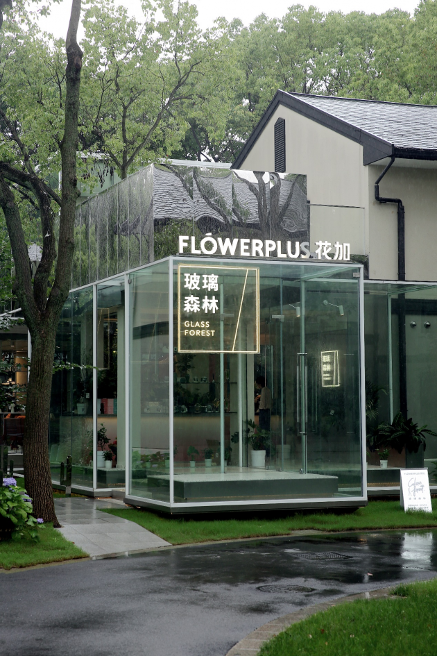 城市里的阳光房flowerplus花加首家会员体验店 玻璃森林揭秘 中国日报网