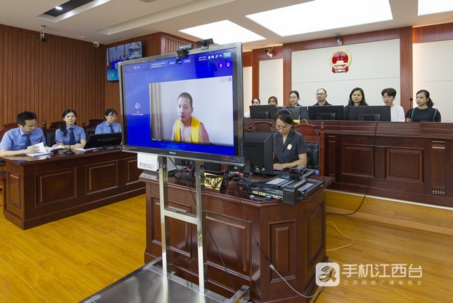 9月3日，江西省宜黄县人民法院对一起非法采伐红豆杉的刑事附带民事公益诉讼案件进行公开宣判。