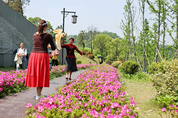 青山生态旅游示范广受近郊游客喜欢