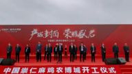 中国崇仁麻鸡农博城项目举行开工仪式