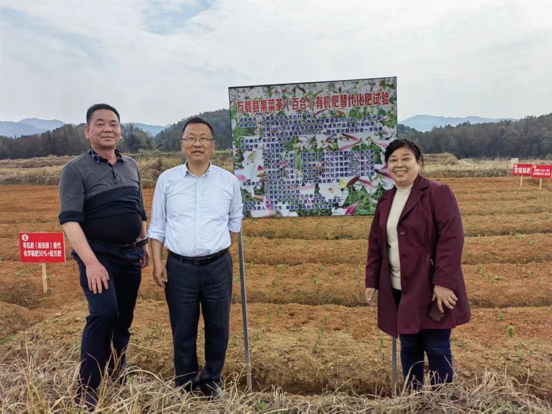 中科院明军研究员在江西沃琪生态农业开发有限公司指导龙牙百合种植