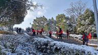 南丰县：退役军人志愿者奏响“铲冰除雪交响曲”
