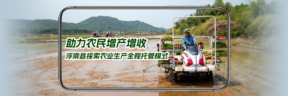 助力农民增产增收，浮梁县探索农业生产全程托管模式
