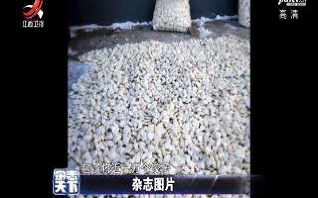 黑龙江一户人家包上万个饺子