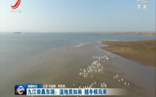 九江柴桑东湖：湿地美如画 越冬候鸟来