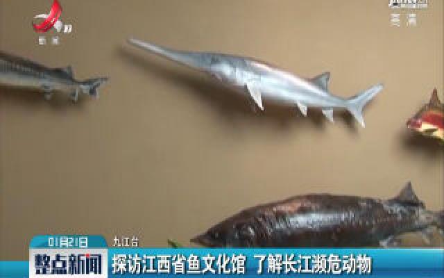 探访江西省鱼文化馆 了解长江濒危动物