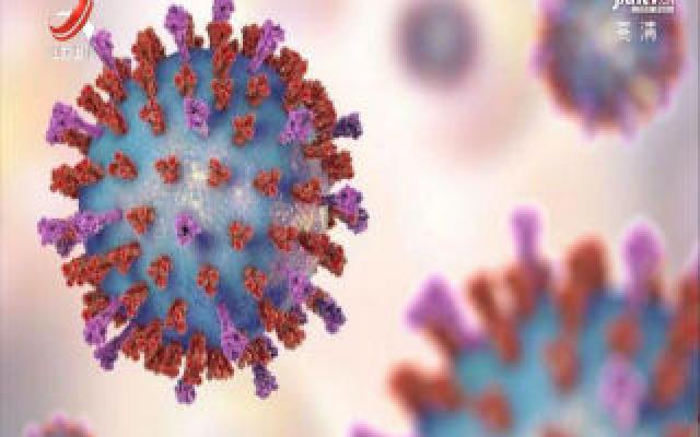 应对新型冠状病毒 我们该如何防范？