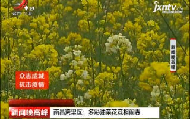 【众志成城 抗击疫情】南昌湾里区：多彩油菜花竞相闹春