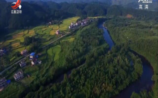 江西启动2020年湿地保护专项行动