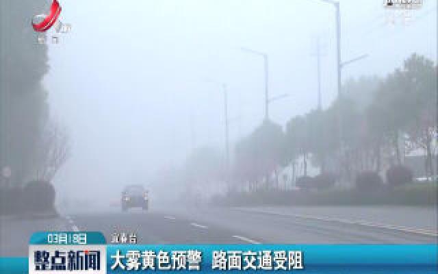 宜春：大雾黄色预警 路面交通受阻