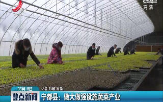 宁都县：做大做强设施蔬菜产业
