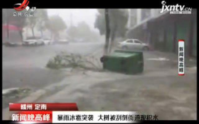 赣州定南：暴雨冰雹突袭 大树被刮倒街道现积水
