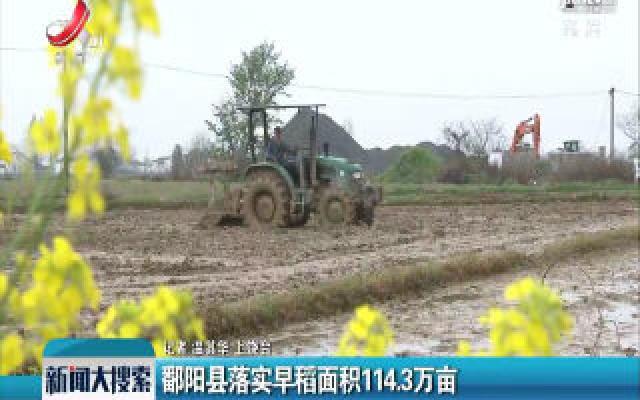 鄱阳县落实早稻面积114.3万亩
