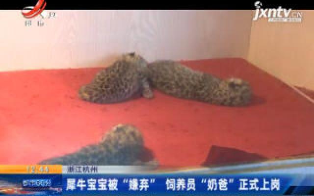 浙江杭州：犀牛宝宝被“嫌弃” 饲养员“奶爸”正式上岗