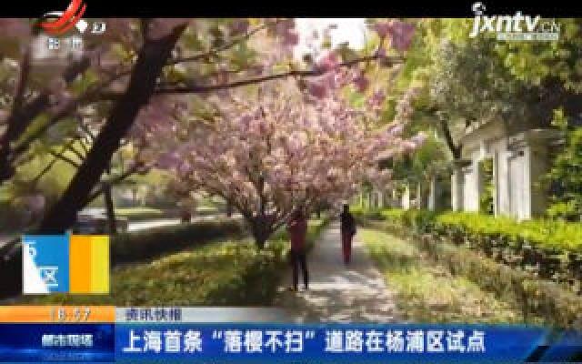 上海首条“落樱不扫”道路在杨浦区试点