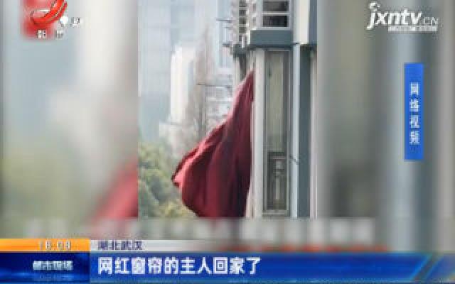 湖北武汉：网红窗帘的主人回家了