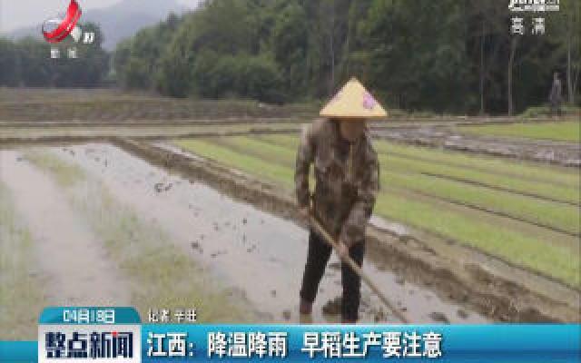 江西：降温降雨 早稻生产要注意