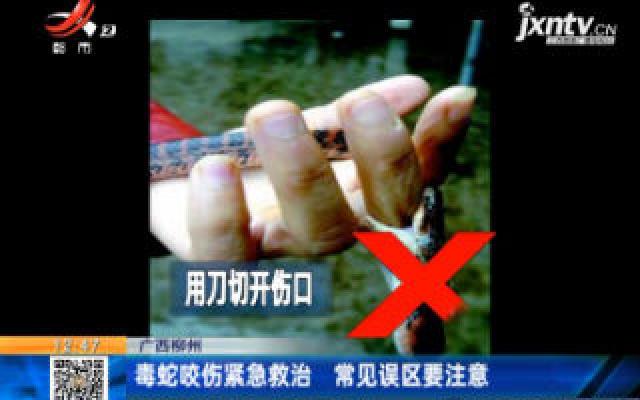 广西柳州：蛇出没进入活跃期 踏青赏花需警惕