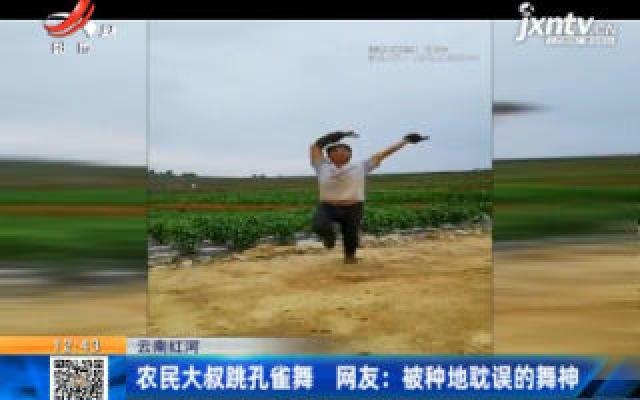 云南红河：农民大叔跳孔雀舞 网友：被种地耽误的舞神