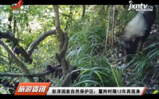 九江·彭泽国家自然保护区：鬣羚时隔12年再现身