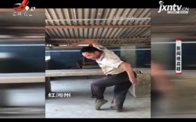 【云南】农民大叔跳孔雀舞 网友：被种地耽误的舞神