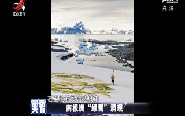 南极洲“绿雪”涌现 警惕气候变暖