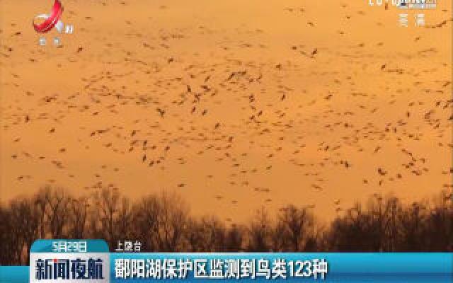 鄱阳湖保护区监测到鸟类123种