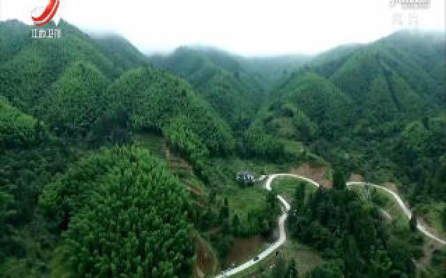 江西出台天然林保护修复制度实施方案