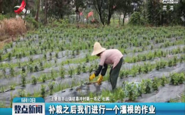 上栗县：村民积极开展生产自救