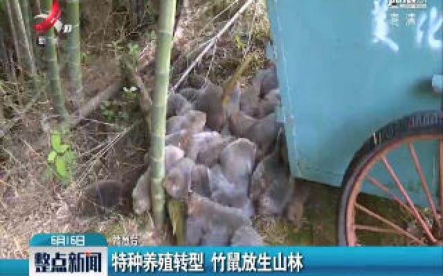 赣州：特种养殖转型 竹鼠放生山林