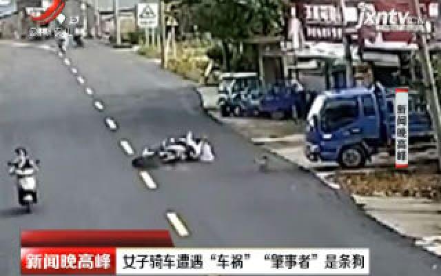 安徽：女子骑车遭遇“车祸” “肇事者”是条狗