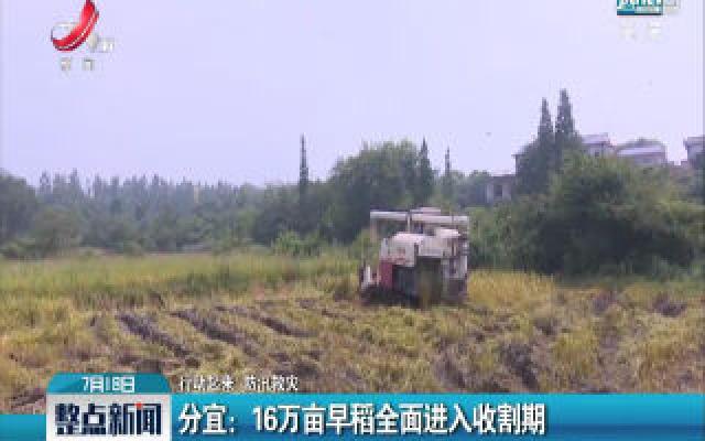 【行动起来 防汛救灾】分宜：16万亩早稻全面进入收割期