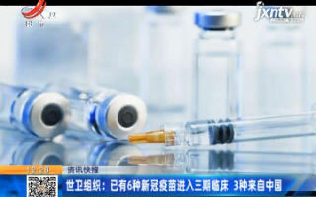 世卫组织：已有6种新冠疫苗进入三期临床 3种来自中国