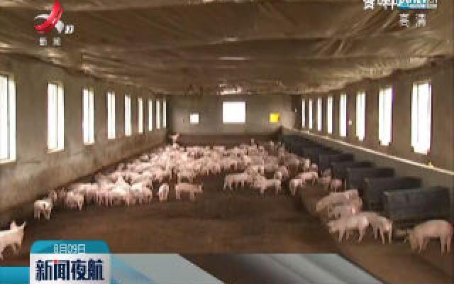 江西推出“生猪企业贷”保生猪生产供应