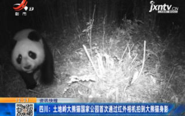 四川：土地岭大熊猫国家公园首次通过红外相机拍到大熊猫身影