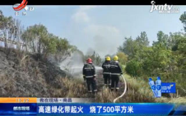【救在现场】南昌：高速绿化带起火 烧了500平方米