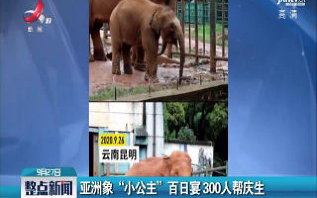 云南：亚洲象“小公主” 百日宴300人帮庆生