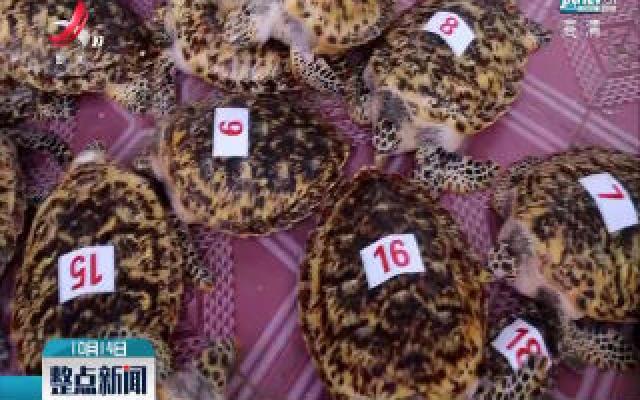 海南警方破获一起特大贩卖野生动物及其制品案