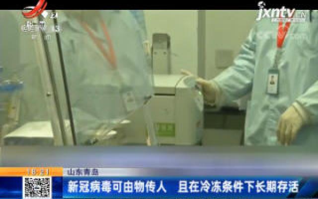 山东青岛：新冠病毒可由物传人 且在冷冻条件下长期存活
