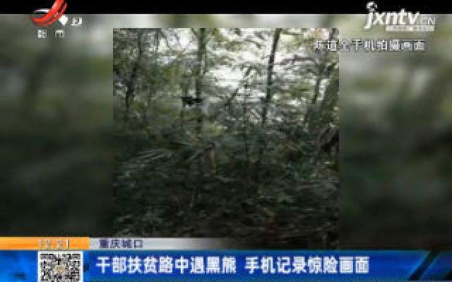 重庆城口：干部扶贫路中遇黑熊 手机记录惊险画面