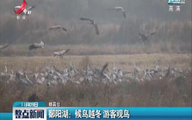鄱阳湖：候鸟越冬 游客观鸟