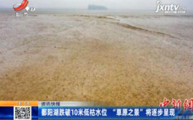 鄱阳湖跌破10米低枯水位 “草原之景”将逐步呈现